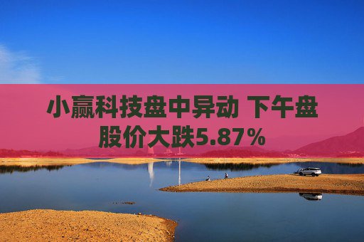 小赢科技盘中异动 下午盘股价大跌5.87%
