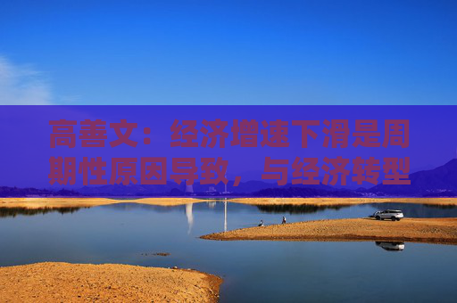 高善文：经济增速下滑是周期性原因导致，与经济转型没有很大关系