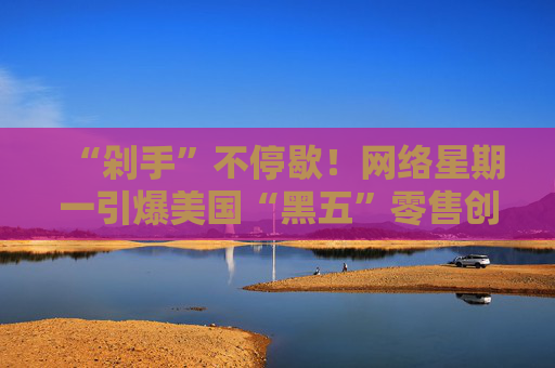 “剁手”不停歇！网络星期一引爆美国“黑五”零售创新高