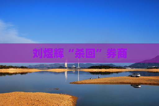刘煜辉“杀回”券商