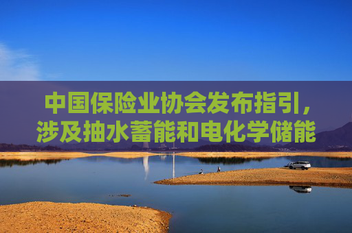 中国保险业协会发布指引，涉及抽水蓄能和电化学储能电站保险风险评估