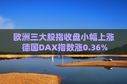 欧洲三大股指收盘小幅上涨 德国DAX指数涨0.36%