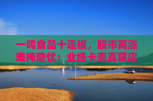 一鸣食品十连板，股市高涨难掩隐忧：业绩卡壳直营店持续收缩