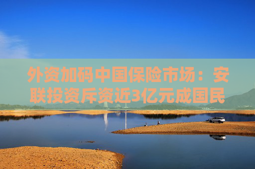 外资加码中国保险市场：安联投资斥资近3亿元成国民养老新股东