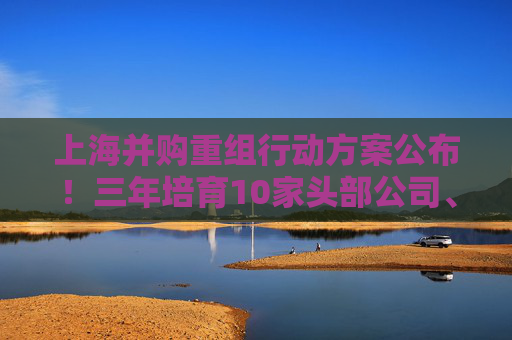 上海并购重组行动方案公布！三年培育10家头部公司、形成3000亿并购规模