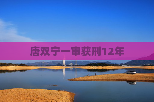 唐双宁一审获刑12年