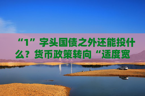 “1”字头国债之外还能投什么？货币政策转向“适度宽松”后 30万亿银行理财仍面临配置难题