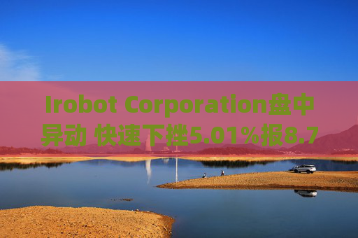 Irobot Corporation盘中异动 快速下挫5.01%报8.73美元