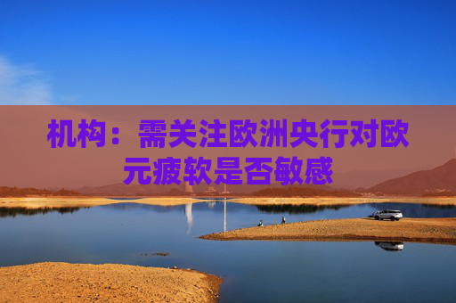 机构：需关注欧洲央行对欧元疲软是否敏感