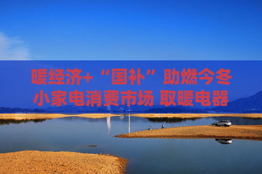 暖经济+“国补”助燃今冬小家电消费市场 取暖电器销量实现倍增