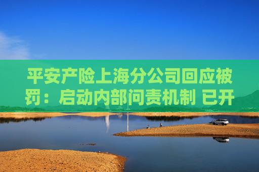 平安产险上海分公司回应被罚：启动内部问责机制 已开展整改工作