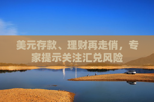 美元存款、理财再走俏，专家提示关注汇兑风险