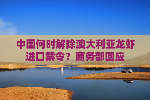中国何时解除澳大利亚龙虾进口禁令？商务部回应