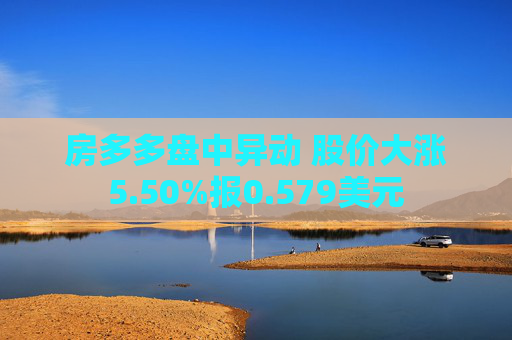 房多多盘中异动 股价大涨5.50%报0.579美元
