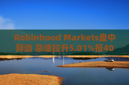 Robinhood Markets盘中异动 急速拉升5.01%报40.87美元