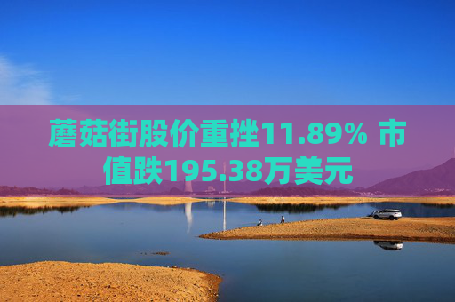 蘑菇街股价重挫11.89% 市值跌195.38万美元