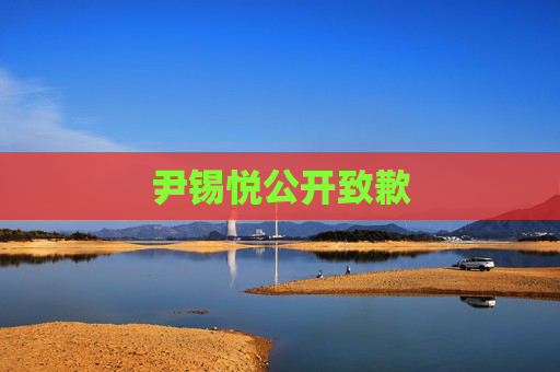 尹锡悦公开致歉