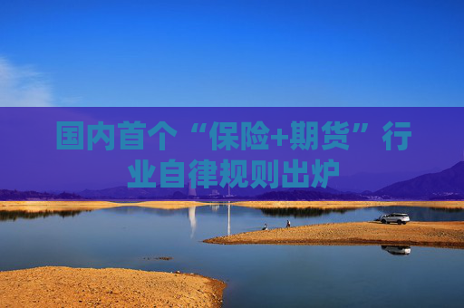 国内首个“保险+期货”行业自律规则出炉