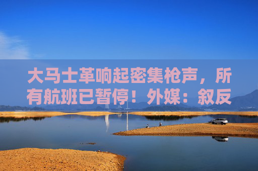 大马士革响起密集枪声，所有航班已暂停！外媒：叙反政府武装称开始入城