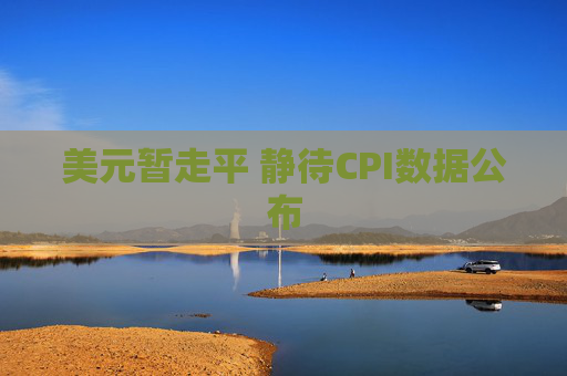 美元暂走平 静待CPI数据公布