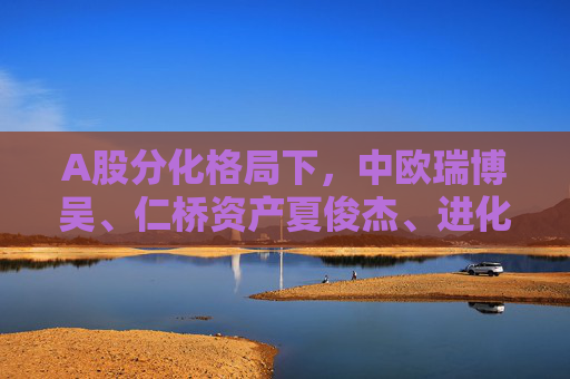 A股分化格局下，中欧瑞博吴、仁桥资产夏俊杰、进化论资产王一平三大百亿私募发声！坚持牛市思维和牛市仓位