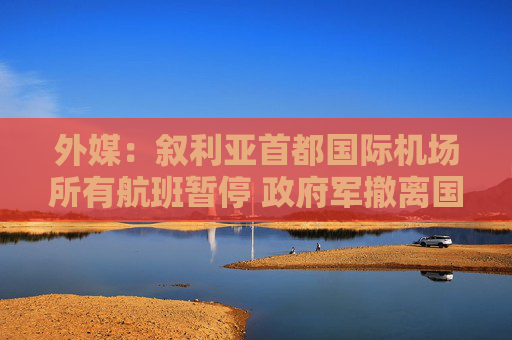 外媒：叙利亚首都国际机场所有航班暂停 政府军撤离国防总部