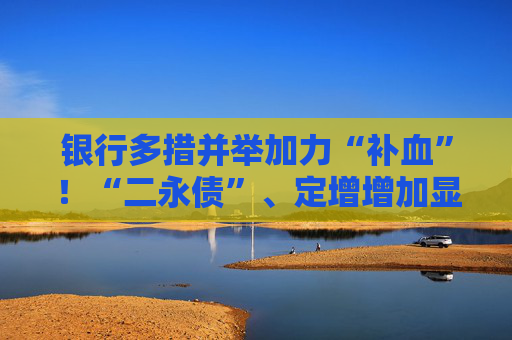银行多措并举加力“补血”！“二永债”、定增增加显著