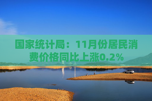 国家统计局：11月份居民消费价格同比上涨0.2%