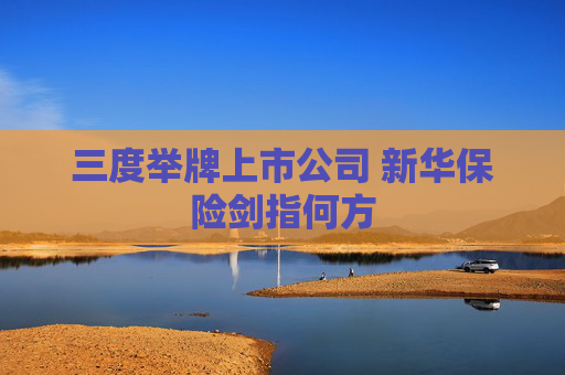 三度举牌上市公司 新华保险剑指何方