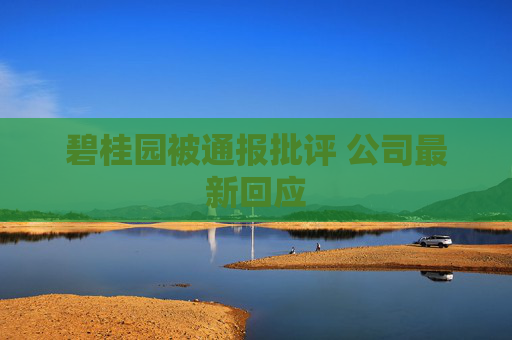 碧桂园被通报批评 公司最新回应