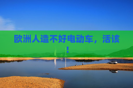 欧洲人造不好电动车，活该！