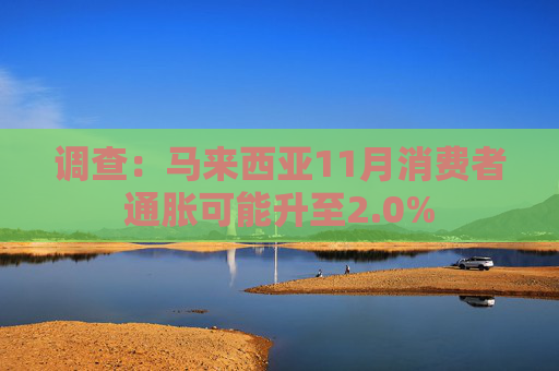 调查：马来西亚11月消费者通胀可能升至2.0%