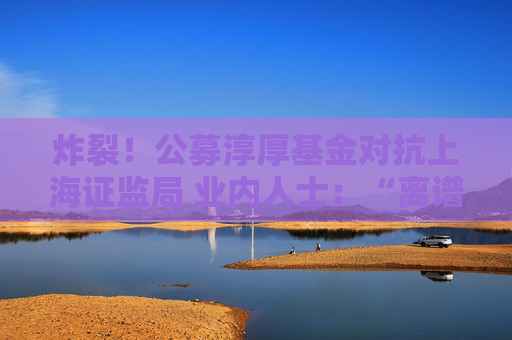 炸裂！公募淳厚基金对抗上海证监局 业内人士：“离谱 从没见过”