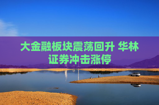 大金融板块震荡回升 华林证券冲击涨停