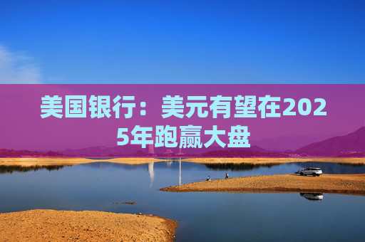 美国银行：美元有望在2025年跑赢大盘