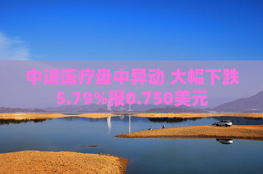 中进医疗盘中异动 大幅下跌5.79%报0.750美元