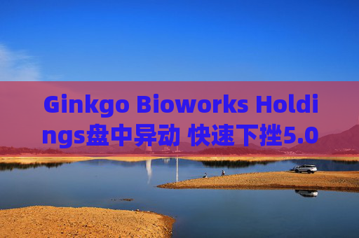 Ginkgo Bioworks Holdings盘中异动 快速下挫5.03%