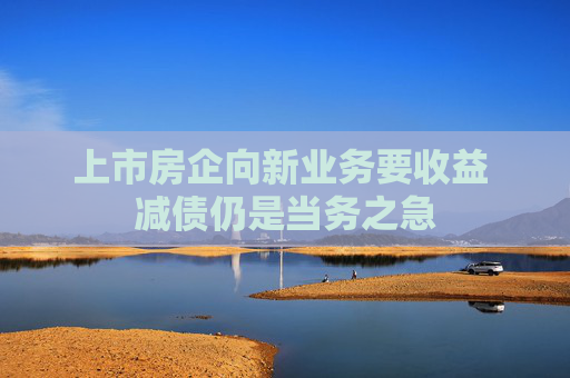 上市房企向新业务要收益 减债仍是当务之急