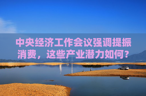 中央经济工作会议强调提振消费，这些产业潜力如何？
