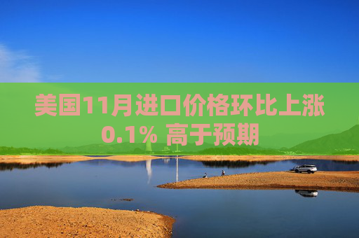 美国11月进口价格环比上涨0.1% 高于预期