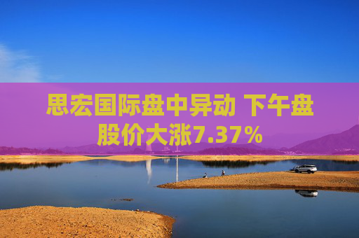 思宏国际盘中异动 下午盘股价大涨7.37%