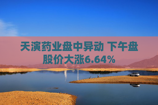 天演药业盘中异动 下午盘股价大涨6.64%