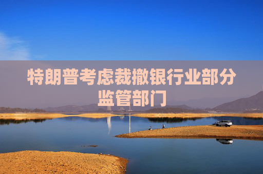特朗普考虑裁撤银行业部分监管部门