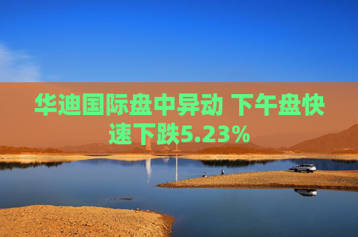 华迪国际盘中异动 下午盘快速下跌5.23%