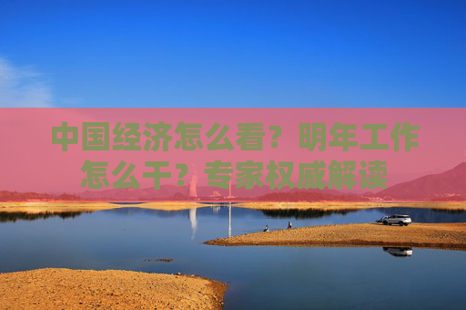 中国经济怎么看？明年工作怎么干？专家权威解读