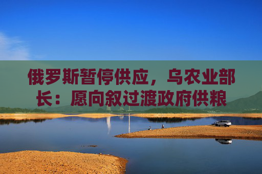 俄罗斯暂停供应，乌农业部长：愿向叙过渡政府供粮