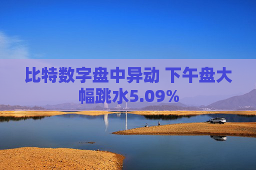 比特数字盘中异动 下午盘大幅跳水5.09%