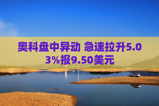 奥科盘中异动 急速拉升5.03%报9.50美元