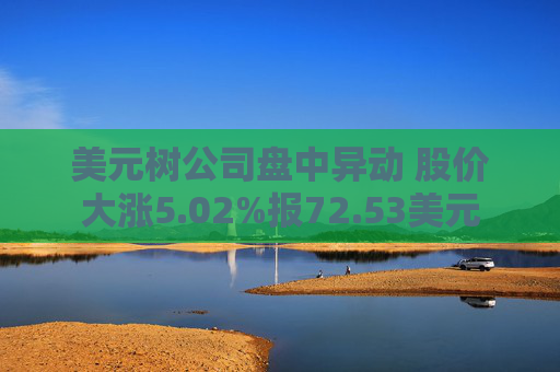 美元树公司盘中异动 股价大涨5.02%报72.53美元
