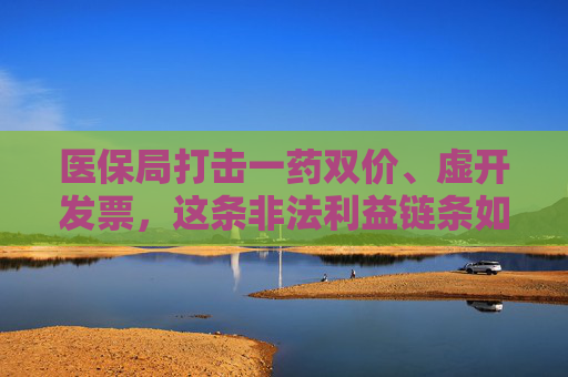 医保局打击一药双价、虚开发票，这条非法利益链条如何形成？